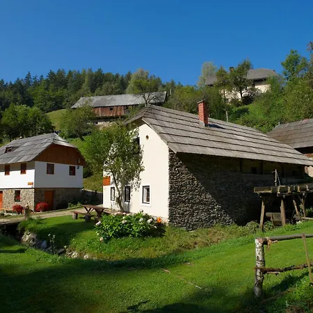 Apartament Turisticna Kmetija Povh *