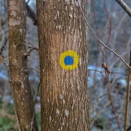 Turisticna Kmetija Povh Διαμέρισμα Prevalje