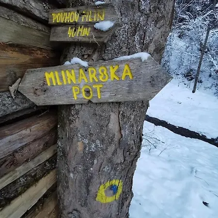 Turisticna Kmetija Povh *