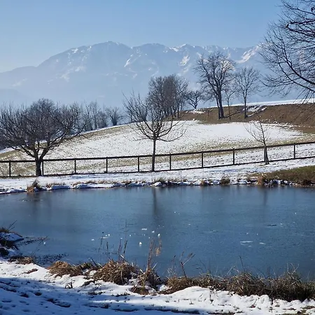 Διαμέρισμα Turisticna Kmetija Povh