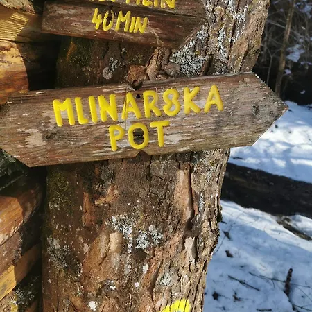 Turisticna Kmetija Povh Apartman