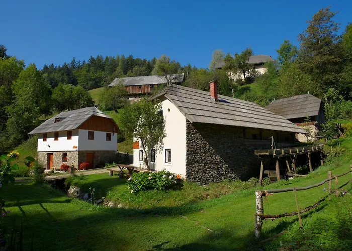 Διαμέρισμα Turisticna Kmetija Povh *