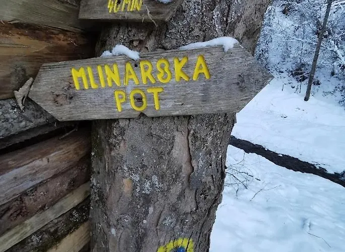 Turisticna Kmetija Povh *